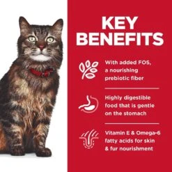 Hill's Science Diet Adult Sensitive Stomach & Skin Salmon & Tuna Wet Cat Food -Furry Friends 364091 PT4. AC SS1800 V1643907092