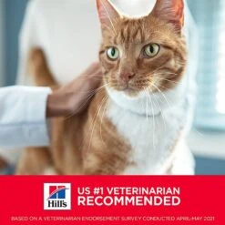 Hill's Science Diet Adult Sensitive Stomach & Skin Salmon & Tuna Wet Cat Food -Furry Friends 364091 PT5. AC SS1800 V1643907096