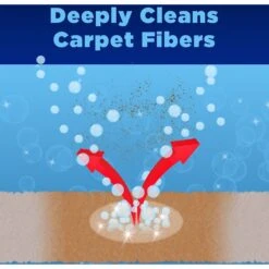 OxiClean Carpet & Area Rug Dog, Cat & Small Pet Stain & Odor Remover, 24-oz Bottle -Furry Friends 364615 PT2. AC SS1800 V1643741541