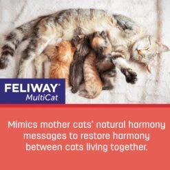 Feliway MultiCat Calming Diffuser Refill For Cats, 30 Day & Frisco Multi-Cat Unscented Clumping Clay Cat Litter -Furry Friends 365463 PT4. AC SS1800 V1686575563