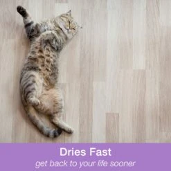 Bona Pet System Multi Surface Cat Floor Cleaner, 32-oz Bottle -Furry Friends 367078 PT7. AC SS1800 V1667333916