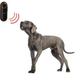 Pet Parade Dog Bark Stopper, Black 17 Pet Parade Dog Bark Stopper, Black -Furry Friends 367857 PT6. AC SS1800 V1645497325