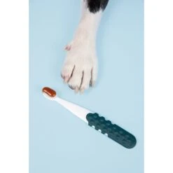 RADIUS Lush & Plush Dog & Cat Toothbrush -Furry Friends 369006 PT4. AC SS1800 V1700155141