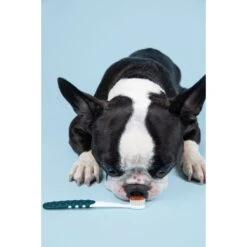 RADIUS Lush & Plush Dog & Cat Toothbrush -Furry Friends 369006 PT7. AC SS1800 V1700155147