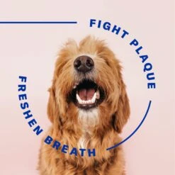 SUCHGOOD Original Water Additive Cat & Dog Breath Freshner, 16-oz Bottle -Furry Friends 369063 PT3. AC SS1800 V1658209082