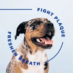 SUCHGOOD Original Breath Spray Cat & Dog Breath Freshner, 4-oz Bottle 14 SUCHGOOD Original Breath Spray Cat & Dog Breath Freshner, 4-oz Bottle -Furry Friends 369069 PT5. AC SS1800 V1658189822