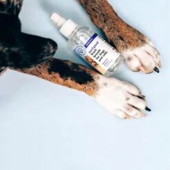 SUCHGOOD Original Breath Spray Cat & Dog Breath Freshner, 4-oz Bottle 15 SUCHGOOD Original Breath Spray Cat & Dog Breath Freshner, 4-oz Bottle -Furry Friends 369069 PT6. AC SS1800 V1658219234