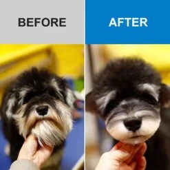 Casfuy Removable Blade Dog & Cat Hair Grooming Clippers -Furry Friends 371993 PT5. AC SS1800 V1657657496