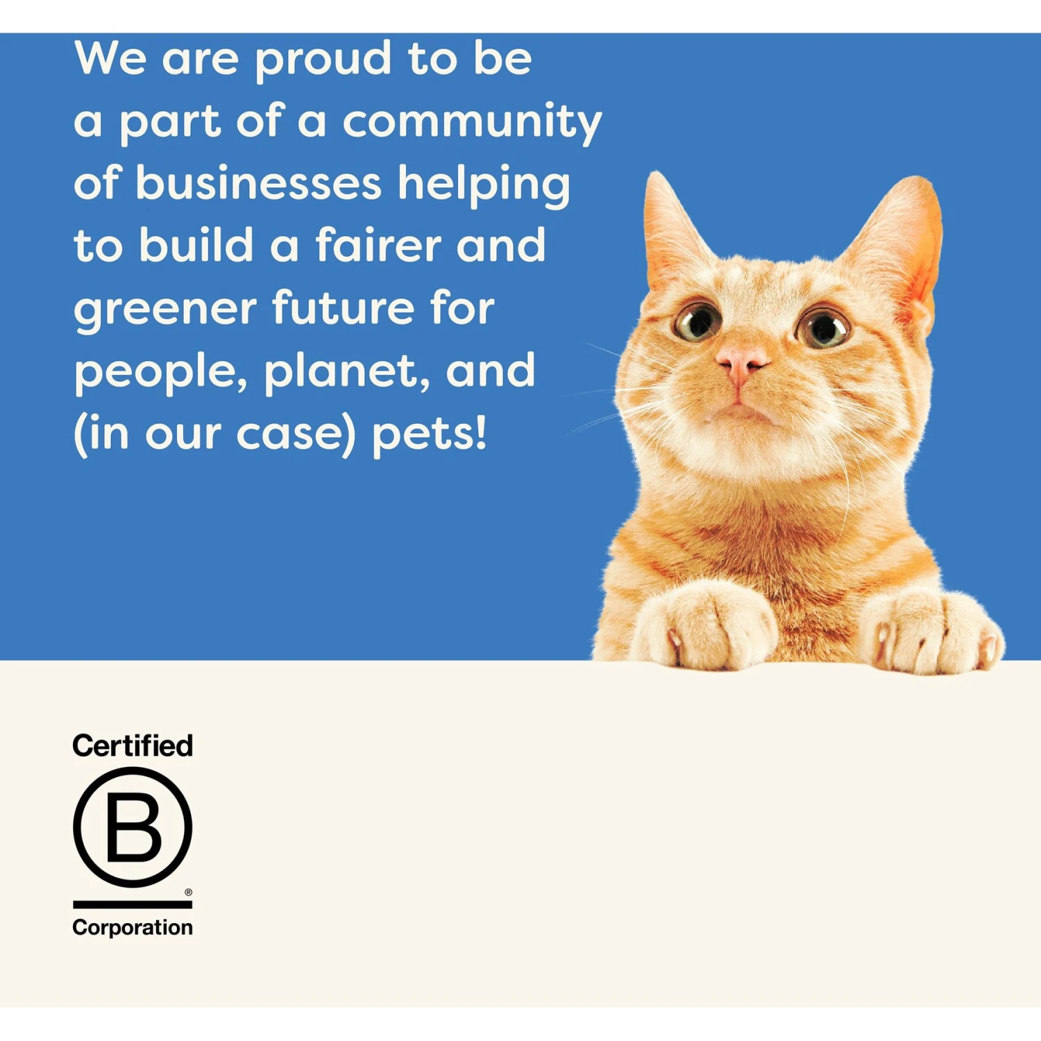 Applaws Tuna Flakes In Gravy Wet Cat Food, 2.12-oz, Case Of 18 9 Applaws Tuna Flakes In Gravy Wet Cat Food, 2.12-oz, Case Of 18 - Image 7