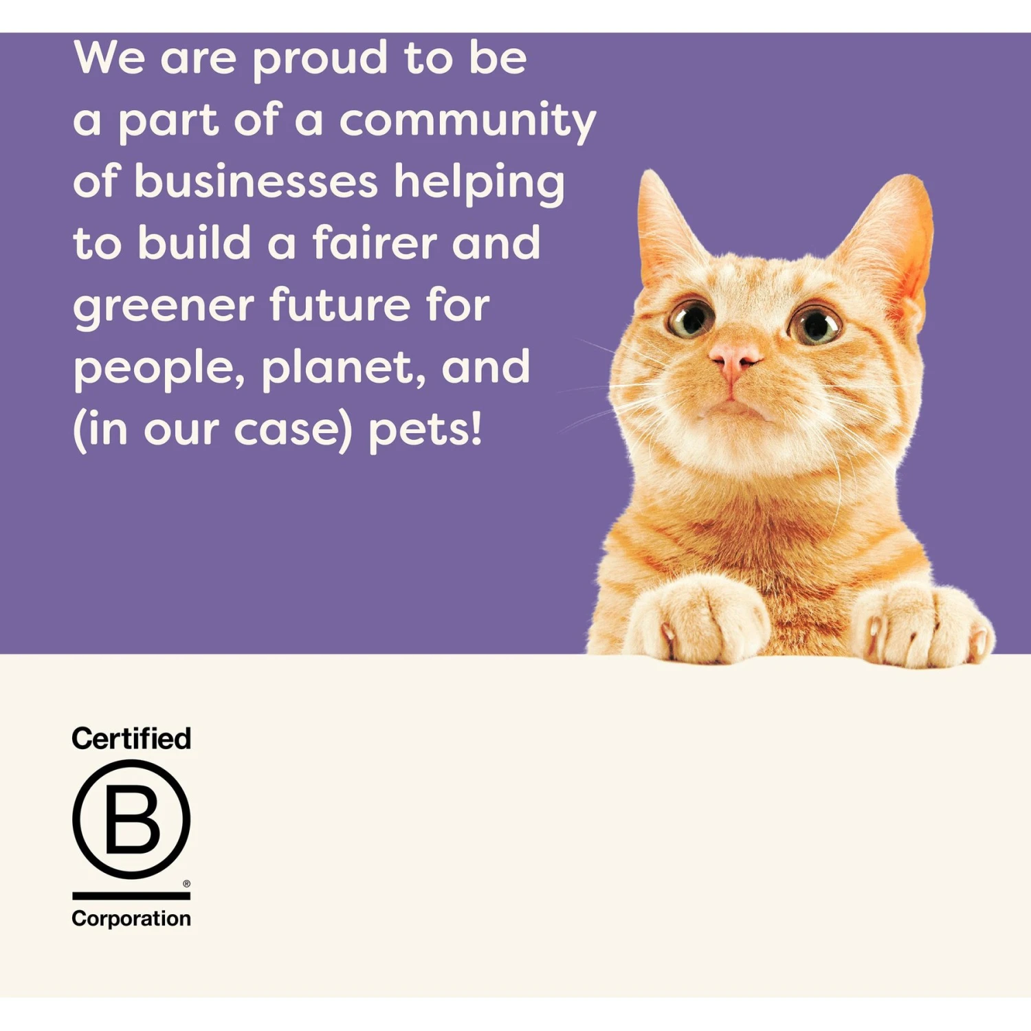 Applaws Broth Variety Pack Wet Cat Food, 2.47-oz, Case Of 12 9 Applaws Broth Variety Pack Wet Cat Food, 2.47-oz, Case Of 12 - Image 7