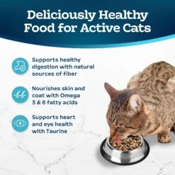 Blue Buffalo Tastefuls Active Natural Chicken Adult Dry Cat Food 14 Blue Buffalo Tastefuls Active Natural Chicken Adult Dry Cat Food -Furry Friends 46866 PT3. AC SS1800 V1694186620