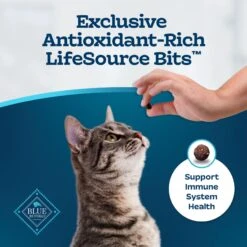 Blue Buffalo Tastefuls Active Natural Chicken Adult Dry Cat Food 17 Blue Buffalo Tastefuls Active Natural Chicken Adult Dry Cat Food -Furry Friends 46866 PT6. AC SS1800 V1694185365