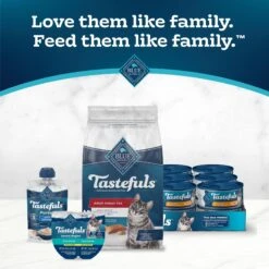 Blue Buffalo Tastefuls Indoor Natural Salmon & Brown Rice Adult Dry Cat Food -Furry Friends 46885 PT8. AC SS1800 V1694184666