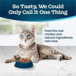 Blue Buffalo Tastefuls Natural Chicken Adult 7+ Dry Cat Food -Furry Friends 46910 PT2. AC SS1800 V1692642876