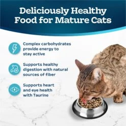 Blue Buffalo Tastefuls Natural Chicken Adult 7+ Dry Cat Food -Furry Friends 46910 PT3. AC SS1800 V1692642200