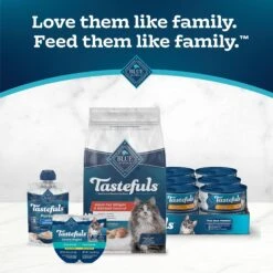 Blue Buffalo Tastefuls Natural Chicken Adult 7+ Dry Cat Food -Furry Friends 46910 PT8. AC SS1800 V1692637669