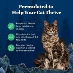 Blue Buffalo Wilderness Duck Recipe Grain-Free Dry Cat Food -Furry Friends 46922 PT3. AC SS1800 V1599017754