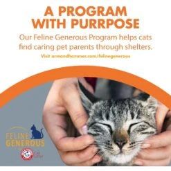 Feline Pine Original Non-Clumping Wood Cat Litter -Furry Friends 47407 PT8. AC SS1800 V1663797230