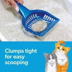 Fresh Step Multi-Cat Extra Strength Scented Clumping Cat Litter 15 Fresh Step Multi-Cat Extra Strength Scented Clumping Cat Litter -Furry Friends 47416 PT4. AC SS1800 V1695138482