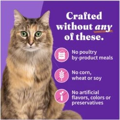 Halo Adult Grain-Free Turkey Recipe In Broth Soft Pate Wet Cat Food 15 Halo Adult Grain-Free Turkey Recipe In Broth Soft Pate Wet Cat Food -Furry Friends 47576 PT5. AC SS1800 V1698767362