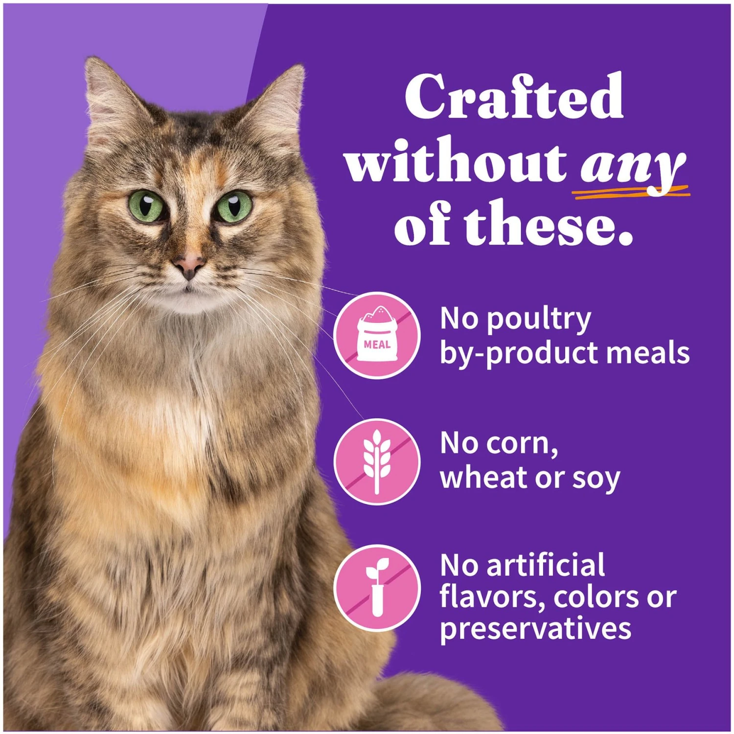 Halo Adult Grain-Free Turkey Recipe In Broth Soft Pate Wet Cat Food 8 Halo Adult Grain-Free Turkey Recipe In Broth Soft Pate Wet Cat Food - Image 6