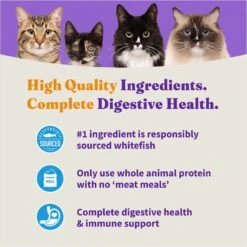 Halo Holistic Wild-Caught Whitefish Recipe Sensitive Stomach Support Adult Dry Cat Food -Furry Friends 47592 PT5. AC SS1800 V1672935678
