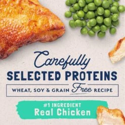 Natural Balance L.I.D. Limited Ingredient Diets Green Pea & Chicken Formula Grain-Free Dry Cat Food -Furry Friends 48051 PT3. AC SS1800 V1668457300