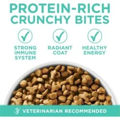 Purina ONE +Plus Sensitive Skin & Stomach Natural Adult Dry Cat Food -Furry Friends 48649 PT2. AC SS1800 V1677531456