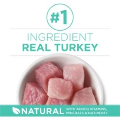 Purina ONE +Plus Sensitive Skin & Stomach Natural Adult Dry Cat Food -Furry Friends 48649 PT3. AC SS1800 V1677531396