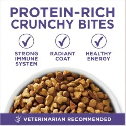 Purina ONE +Plus Hairball Formula Natural Adult Dry Cat Food 13 Purina ONE +Plus Hairball Formula Natural Adult Dry Cat Food -Furry Friends 48650 PT2. AC SS1800 V1677531400