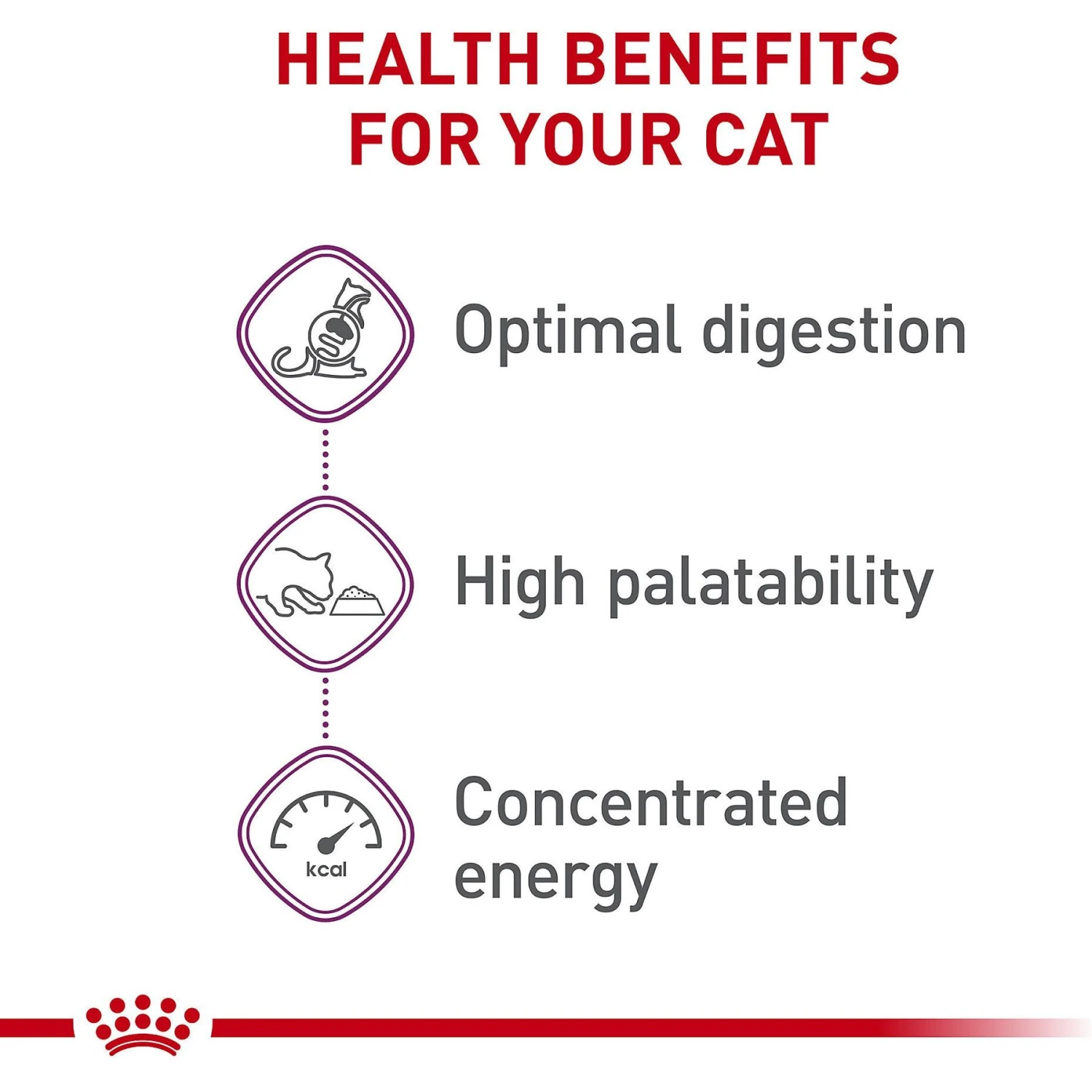 Royal Canin Feline Health Nutrition Sensitive Digestion Adult Dry Cat Food 7 Royal Canin Feline Health Nutrition Sensitive Digestion Adult Dry Cat Food - Image 5