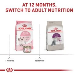 Royal Canin Feline Health Nutrition Sensitive Digestion Adult Dry Cat Food 17 Royal Canin Feline Health Nutrition Sensitive Digestion Adult Dry Cat Food -Furry Friends 48671 PT6. AC SS1800 V1697758650