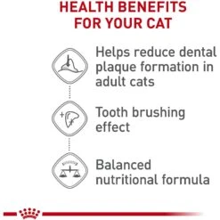 Royal Canin Feline Care Nutrition Dental Care Dry Cat Food -Furry Friends 48703 PT4. AC SS1800 V1697759685