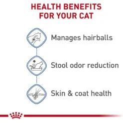 Royal Canin Feline Health Nutrition Indoor Long Hair Adult Dry Cat Food -Furry Friends 48726 PT3. AC SS1800 V1697762324