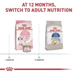 Royal Canin Feline Health Nutrition Indoor Long Hair Adult Dry Cat Food -Furry Friends 48726 PT4. AC SS1800 V1697758590
