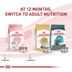 Royal Canin Feline Health Nutrition Thin Slices In Gravy Wet Kitten Food -Furry Friends 48733 PT5. AC SS1800 V1702071434