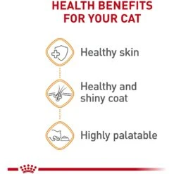 Royal Canin Feline Care Nutrition Hair & Skin Care Thin Slices In Gravy Canned Cat Food, 3-oz, Case Of 24 -Furry Friends 48737 PT3. AC SS1800 V1697758536