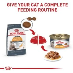 Royal Canin Feline Care Nutrition Hair & Skin Care Thin Slices In Gravy Canned Cat Food, 3-oz, Case Of 24 -Furry Friends 48737 PT5. AC SS1800 V1697753707