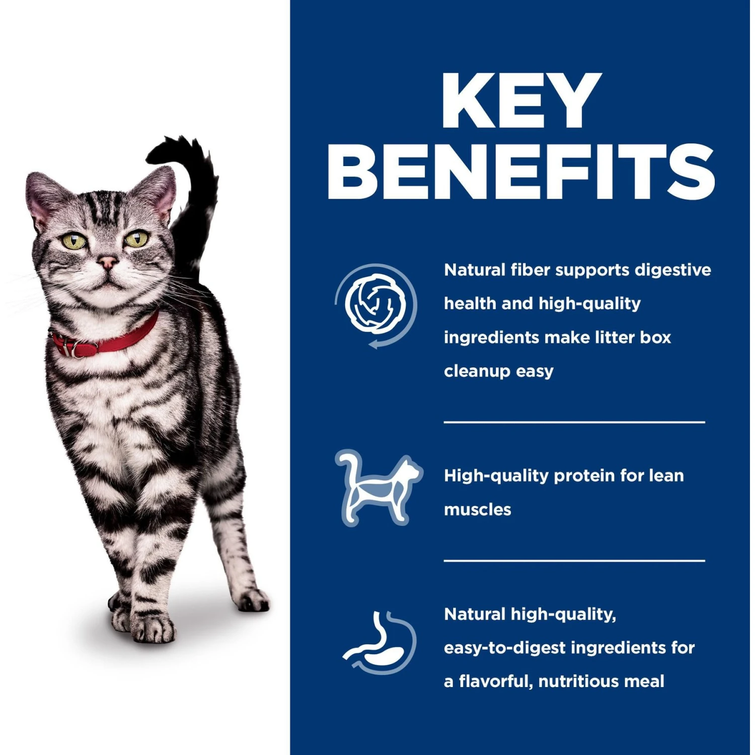 Hill's Science Diet Adult Indoor Chicken Recipe Dry Cat Food 8 Hill's Science Diet Adult Indoor Chicken Recipe Dry Cat Food - Image 6