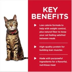 Hill's Science Diet Adult Light Liver & Chicken Entree Canned Cat Food -Furry Friends 48963 PT3. AC SS1800 V1598157360