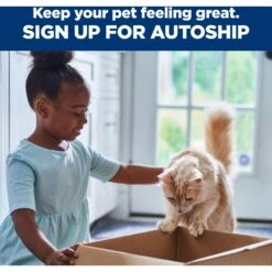 Hill's Science Diet Kitten Savory Turkey Entree Canned Cat Food -Furry Friends 48976 PT8. AC SS1800 V1598143285