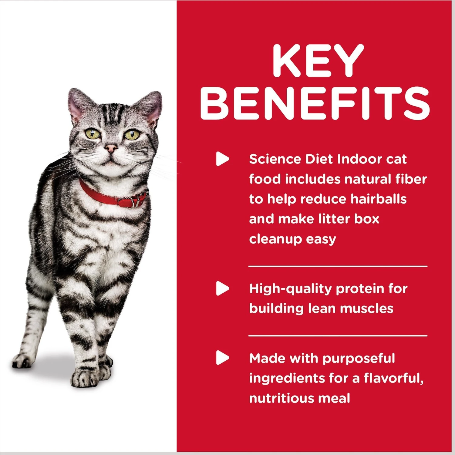 Hill's Science Diet Adult Indoor Ocean Fish Entree Canned Cat Food 7 Hill's Science Diet Adult Indoor Ocean Fish Entree Canned Cat Food - Image 5