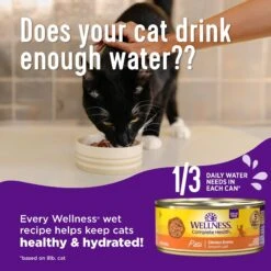 Wellness Complete Health Beef & Salmon Formula Grain-Free Canned Cat Food 12 Wellness Complete Health Beef & Salmon Formula Grain-Free Canned Cat Food -Furry Friends 49261 PT3. AC SS1800 V1594837568