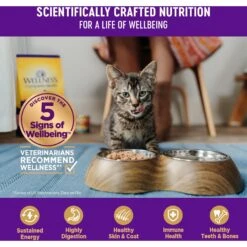 Wellness Complete Health Beef & Salmon Formula Grain-Free Canned Cat Food 13 Wellness Complete Health Beef & Salmon Formula Grain-Free Canned Cat Food -Furry Friends 49261 PT4. AC SS1800 V1594839955