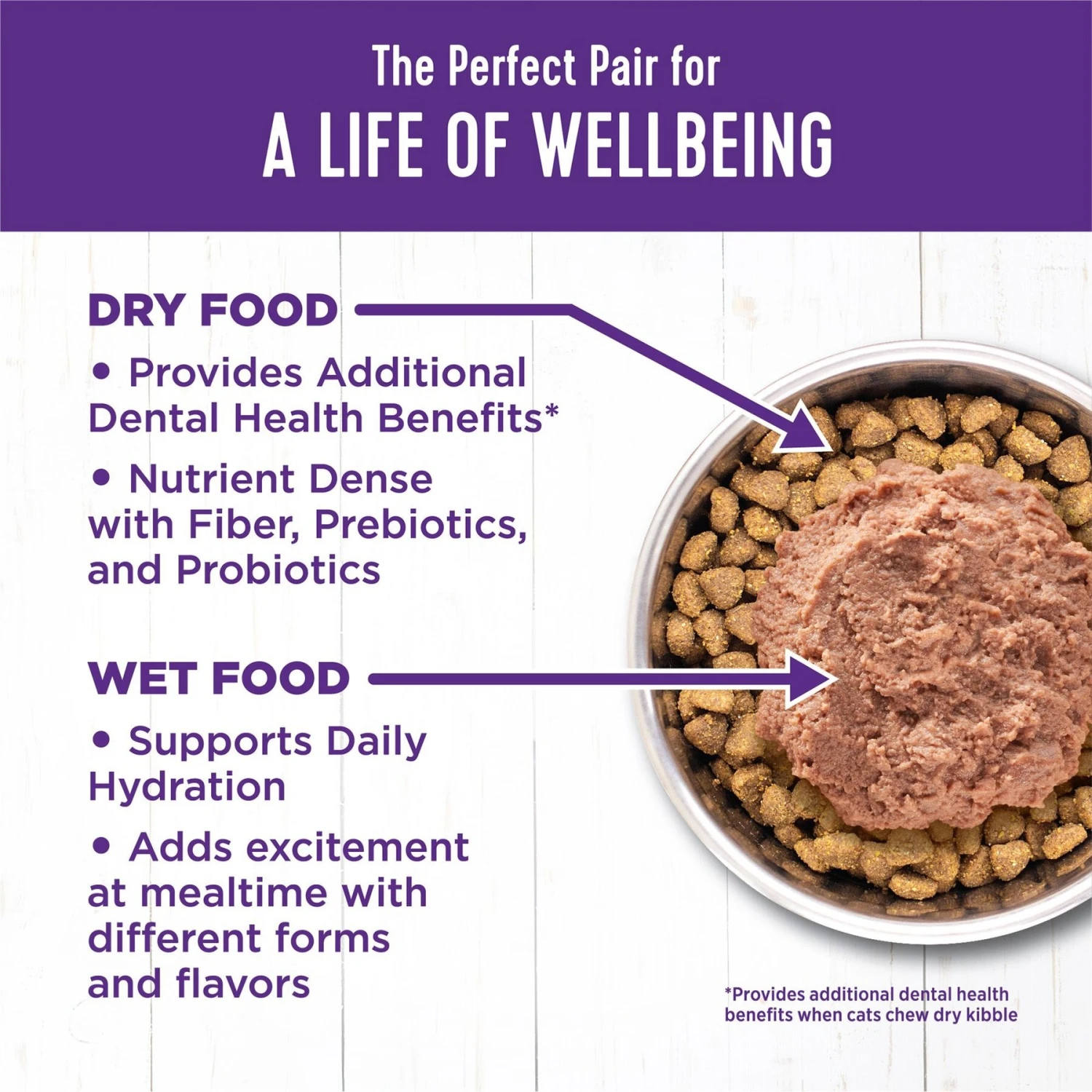Wellness Complete Health Beef & Salmon Formula Grain-Free Canned Cat Food 8 Wellness Complete Health Beef & Salmon Formula Grain-Free Canned Cat Food - Image 6