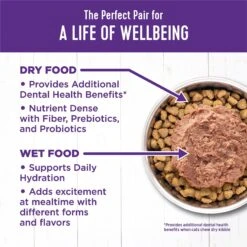 Wellness Complete Health Chicken & Herring Formula Grain-Free Canned Cat Food -Furry Friends 49264 PT5. AC SS1800 V1594908671