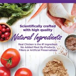 Wellness Complete Health Kitten Chicken Entree Recipe Natural Canned Cat Food -Furry Friends 49274 PT2. AC SS1800 V1690899634