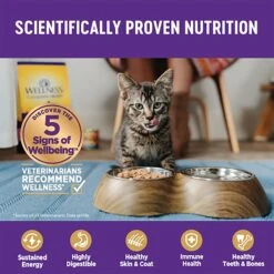 Wellness Complete Health Turkey & Salmon Formula Grain-Free Natural Canned Cat Food -Furry Friends 49282 PT4. AC SS1800 V1594838178