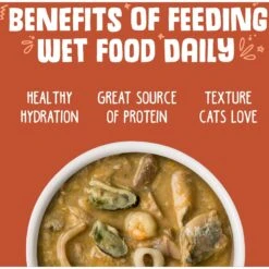 Weruva Marbella Paella With Mackerel, Shrimp & Mussels Grain-Free Canned Cat Food -Furry Friends 49306 PT5. AC SS1800 V1643065584