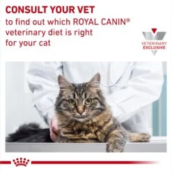 Royal Canin Veterinary Diet Adult Selected Protein PD Dry Cat Food 19 Royal Canin Veterinary Diet Adult Selected Protein PD Dry Cat Food -Furry Friends 49972 PT8. AC SS1800 V1692389738